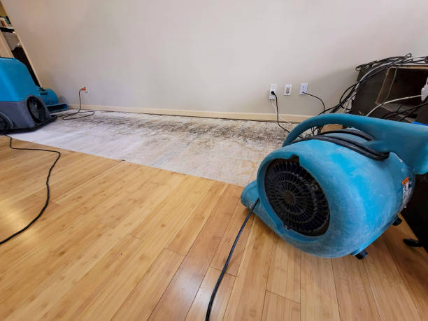 Professional Water Damage Repair technician working in Cortez, FL